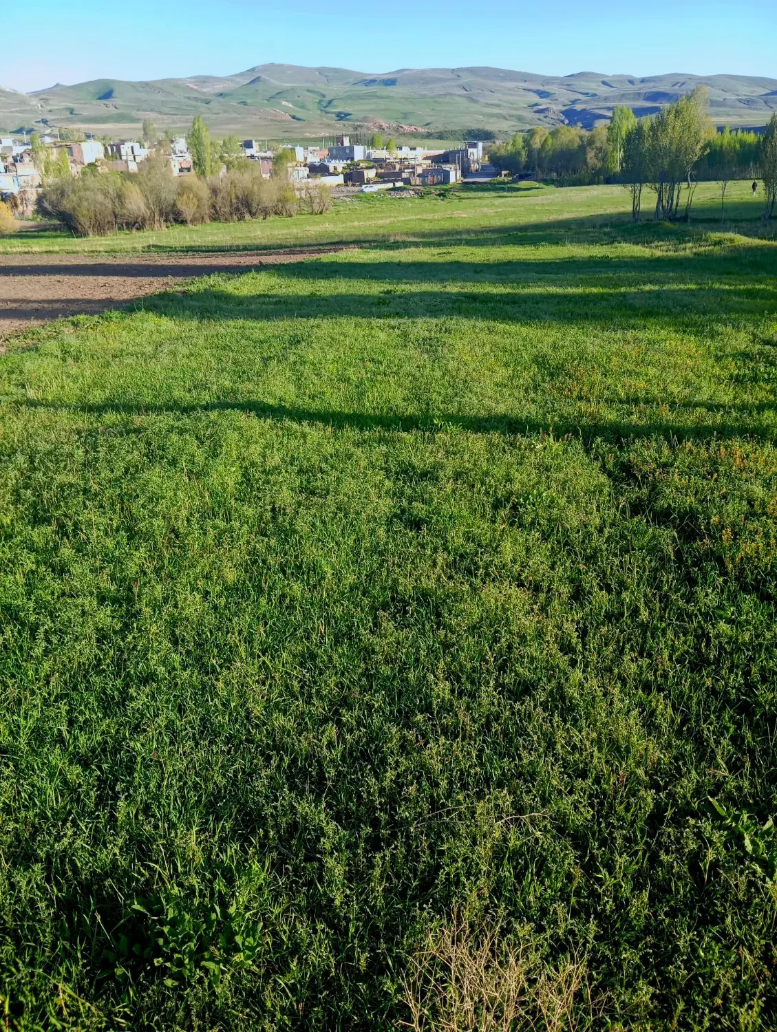 زمین فروشی روستای بدولی
