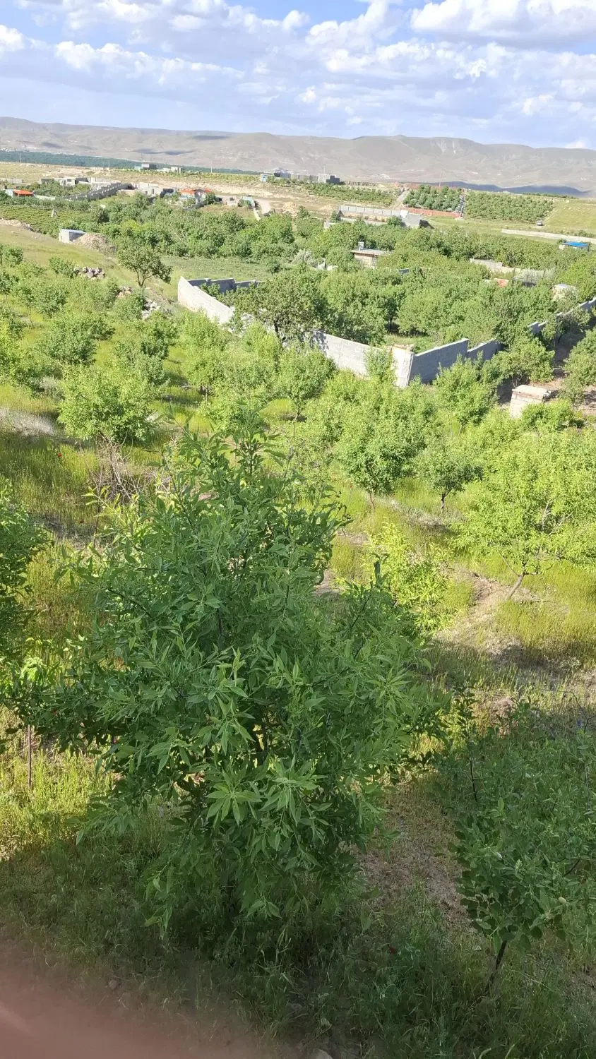 فروش باغ در روستای خراجو