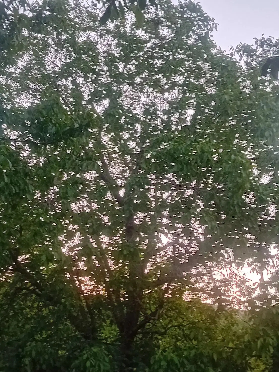 سلام حیدره بالای شهر منطقه ایسلان