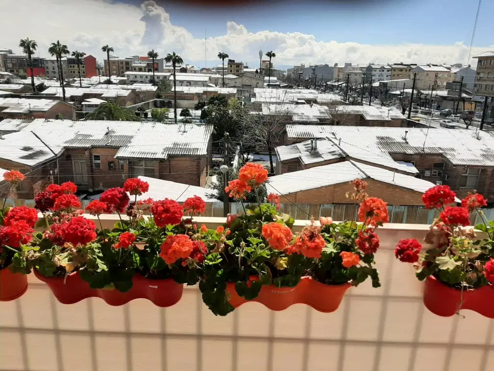 اجاره آپارتمان شهرک قدس کوچه مسعودی