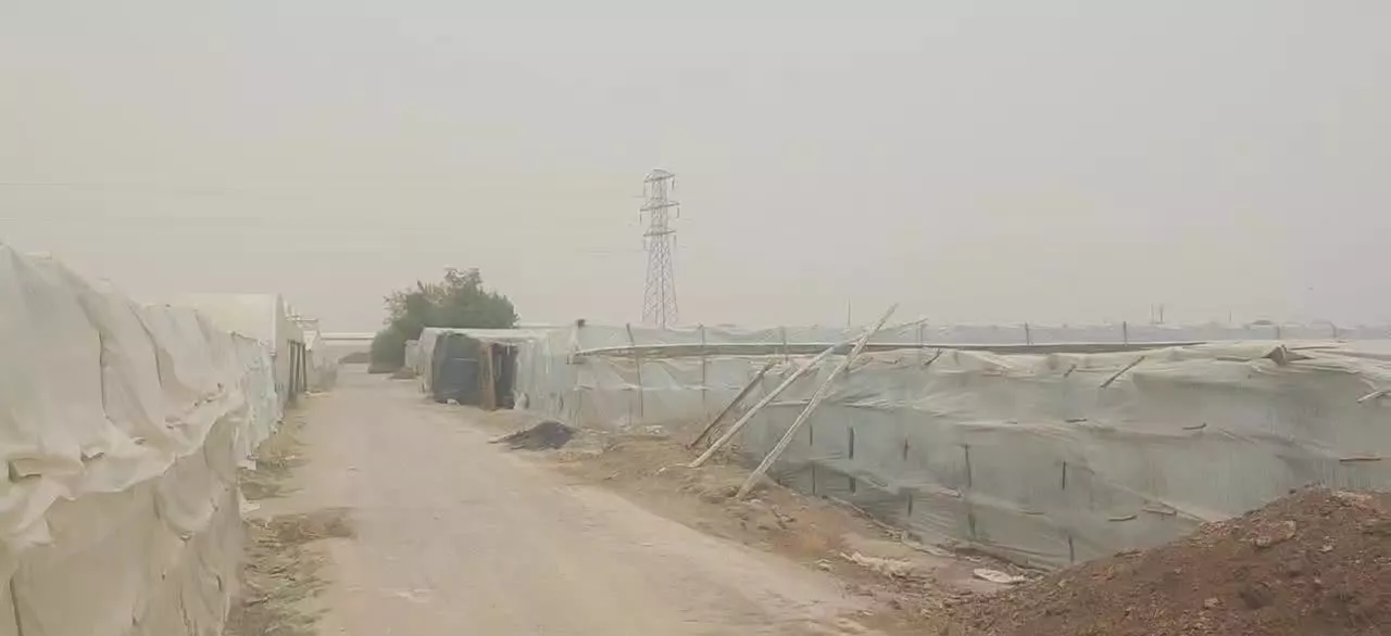 زمین خوش جا