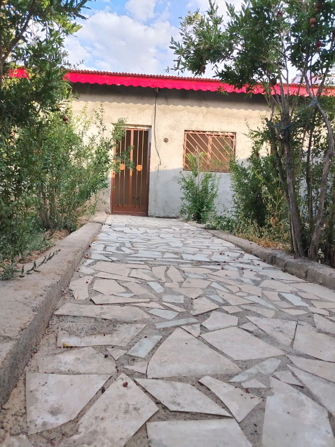 باغ اناری شهرضا روستای امام زاده علی اکبر