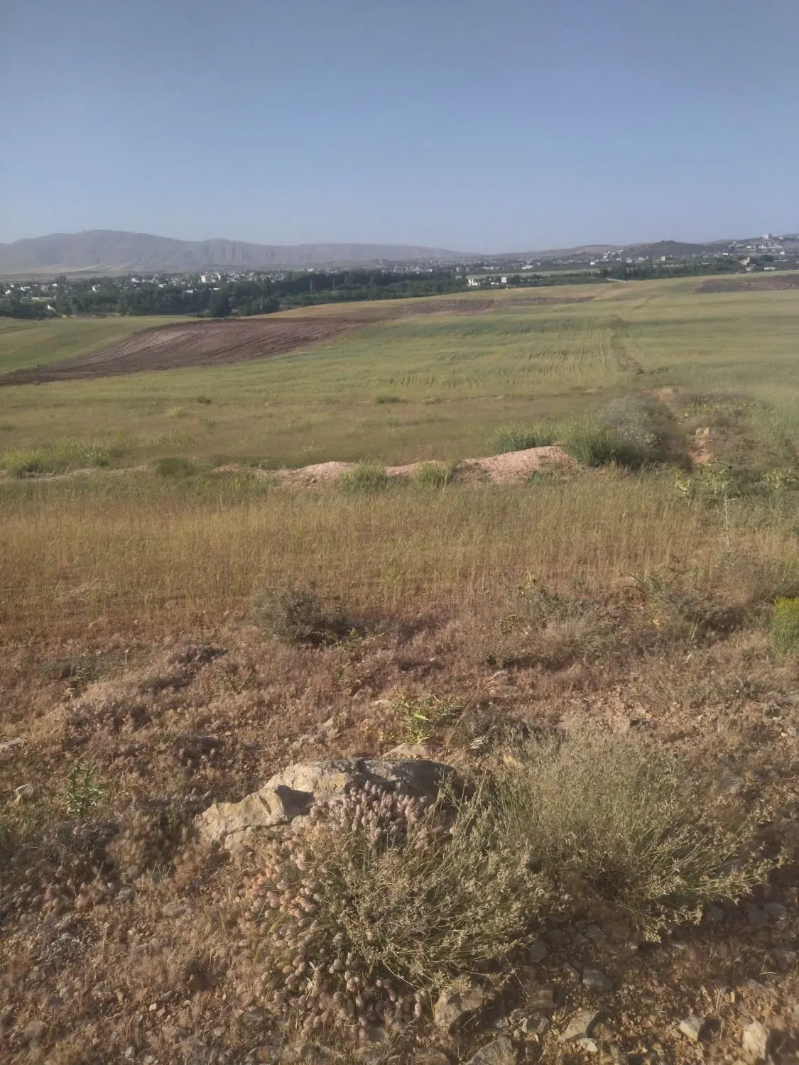 زمین کودیان سند اصلاحات ارضی ۲۰۳۰متر