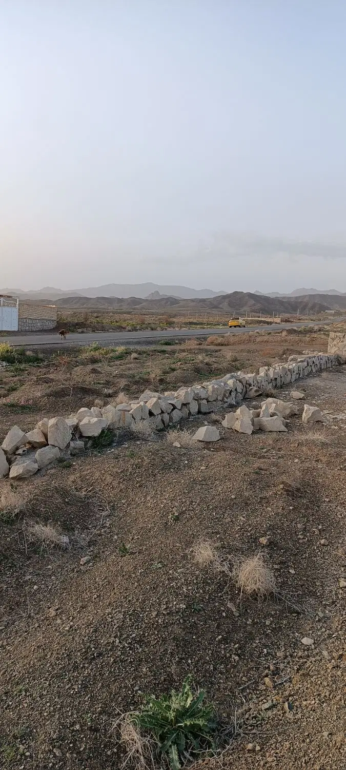 فروش زمین روب رو دانشگاه حکیم
