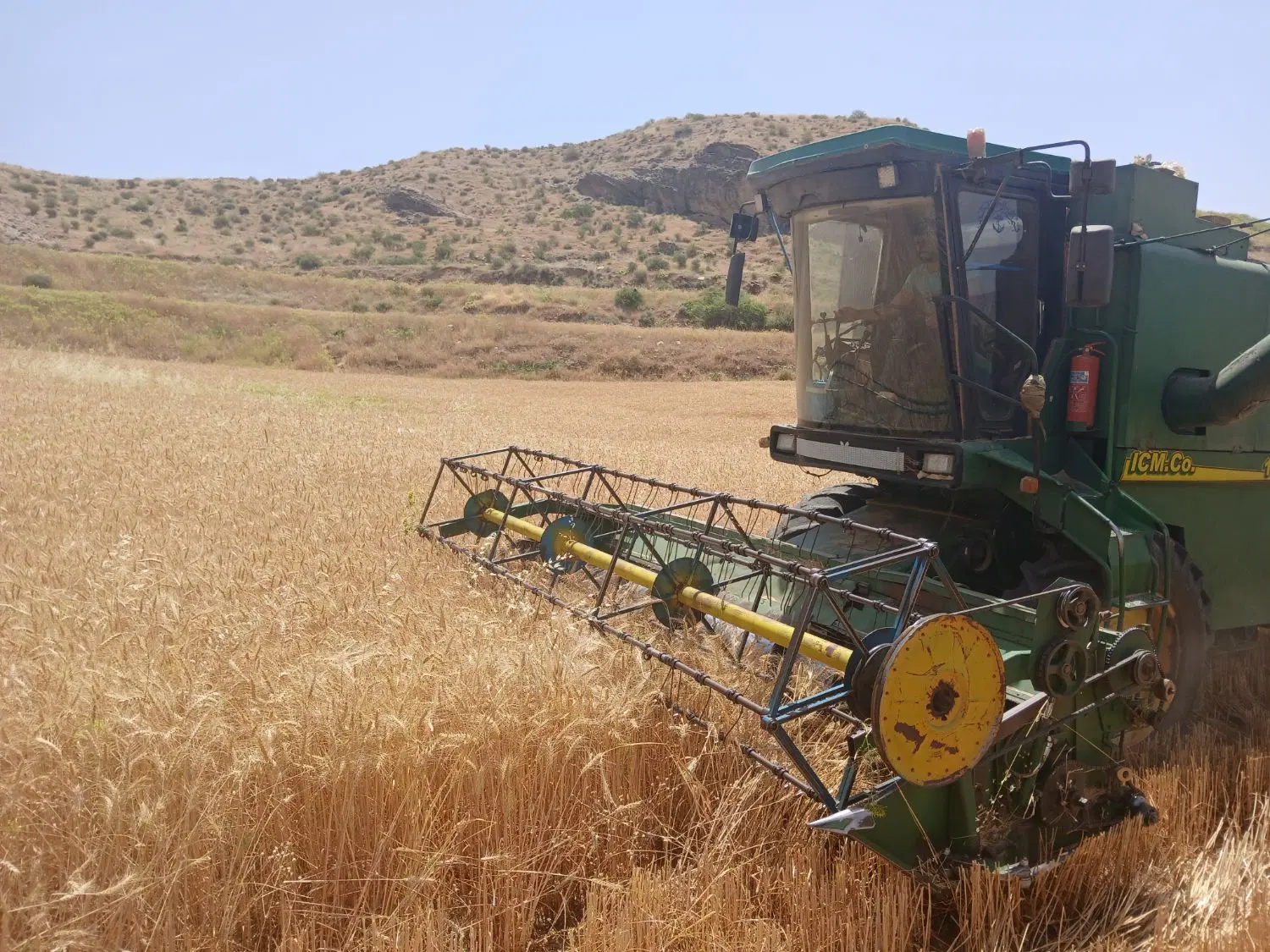 فروش کاه انباری درجه یک