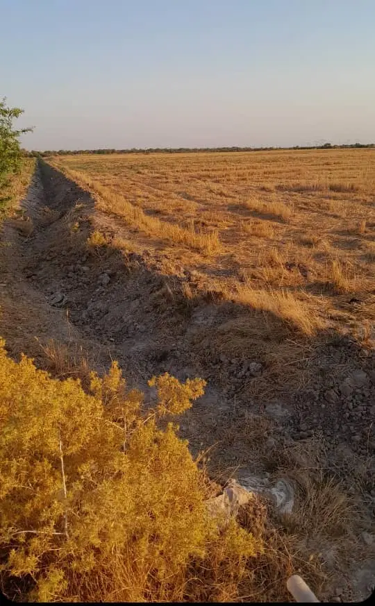 زمین کشاورزی