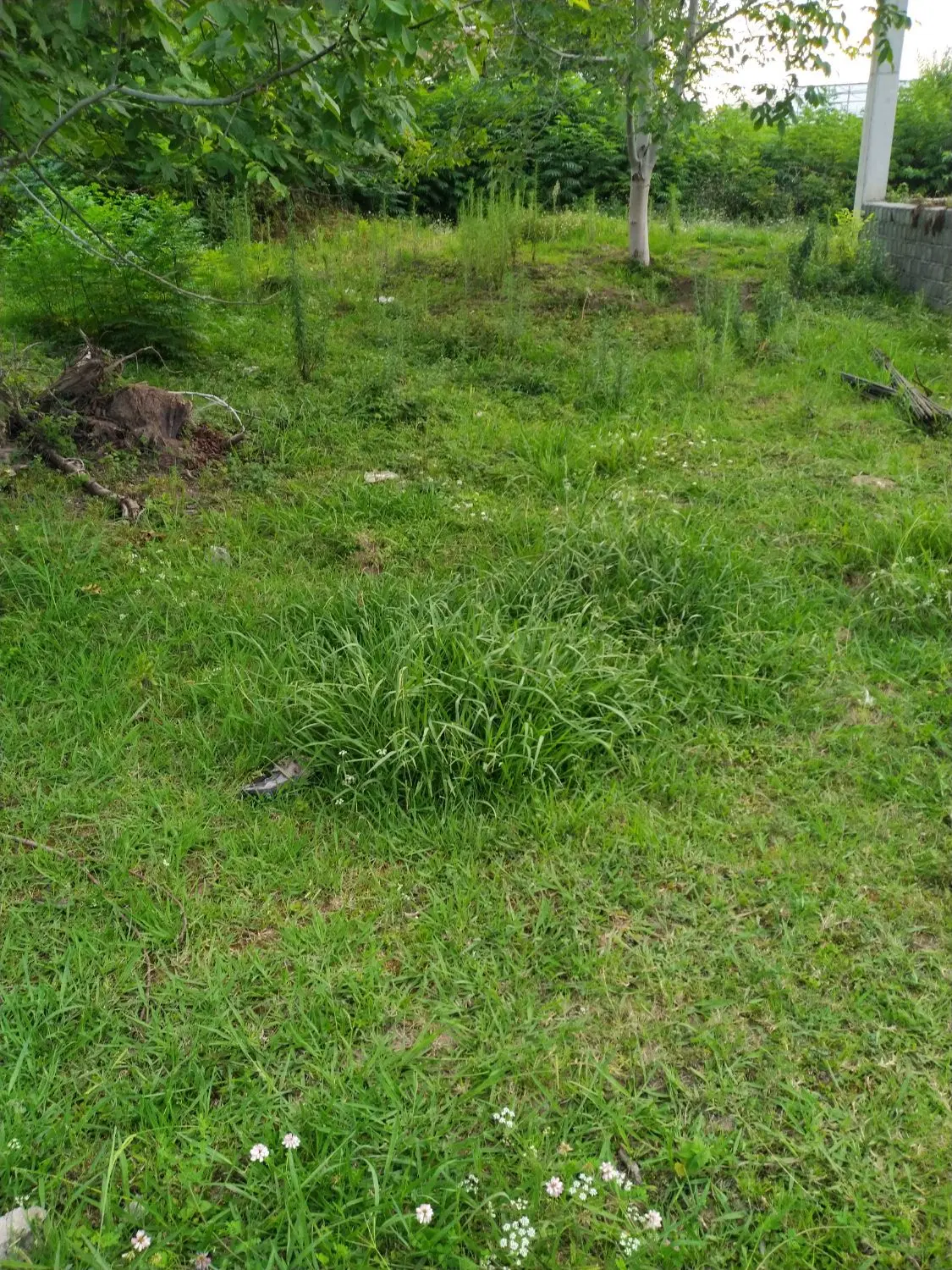 زمین با کاربری مسکونی شهری