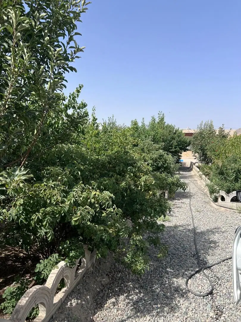 رهن کامل ویلا ۵۵۰ متری  دهشاد بالا