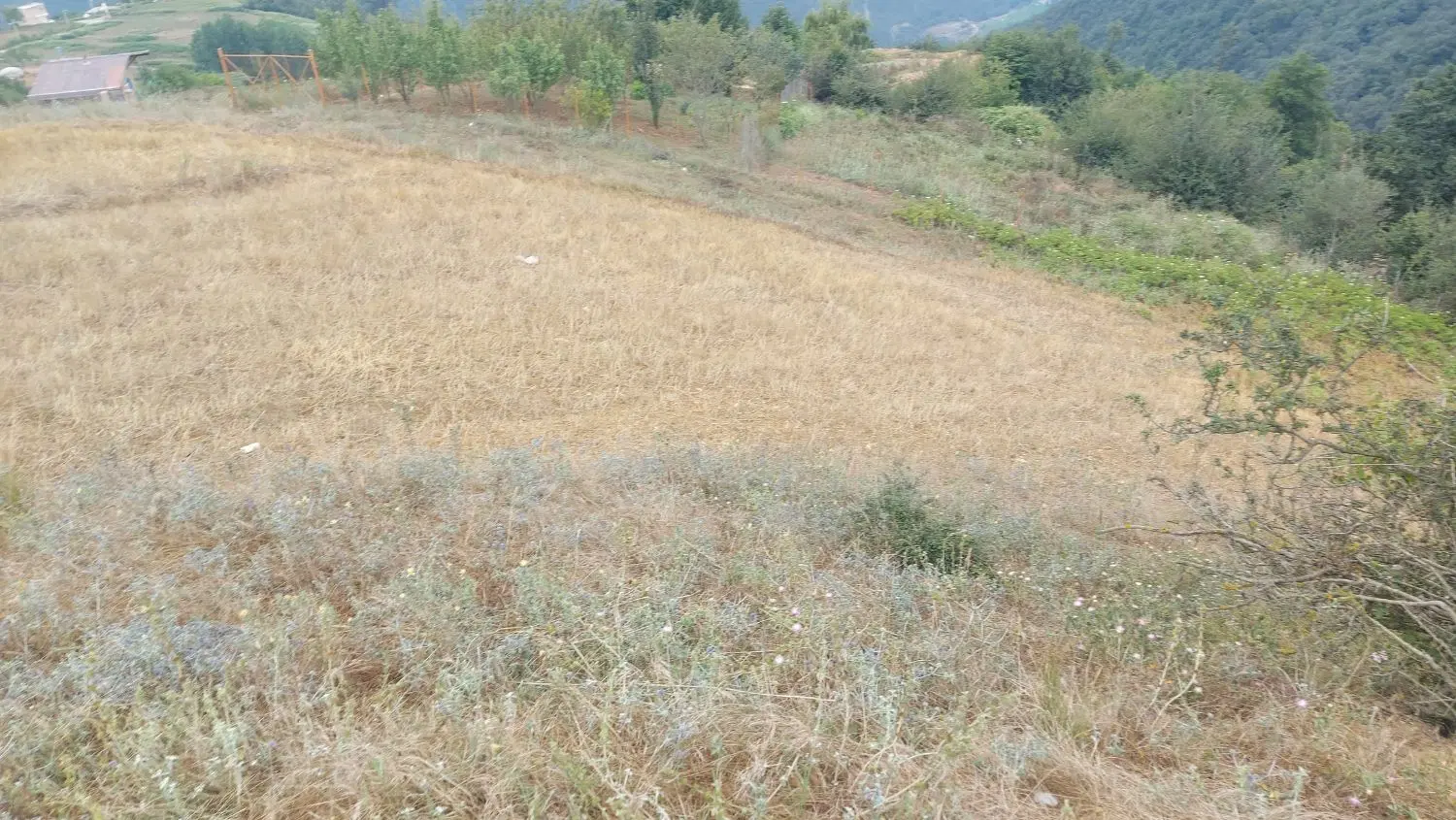 زمین روستای میان رستاق