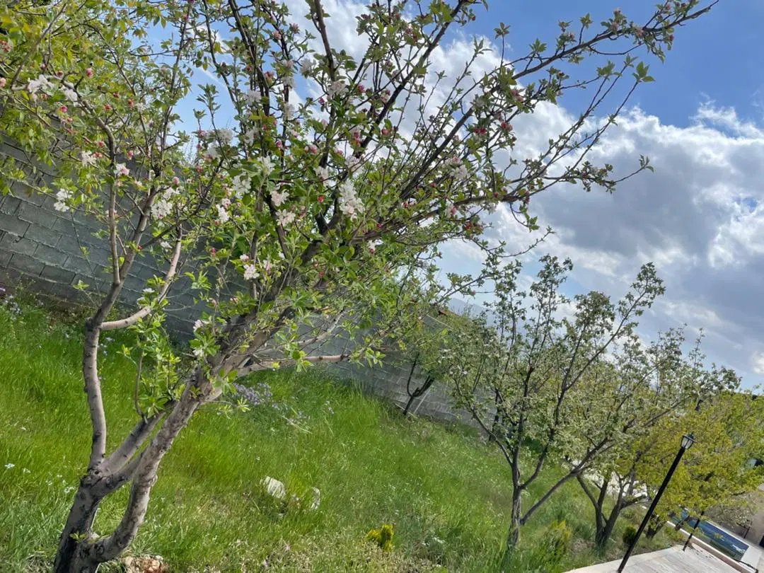 باغ شهری کهمره سرخی