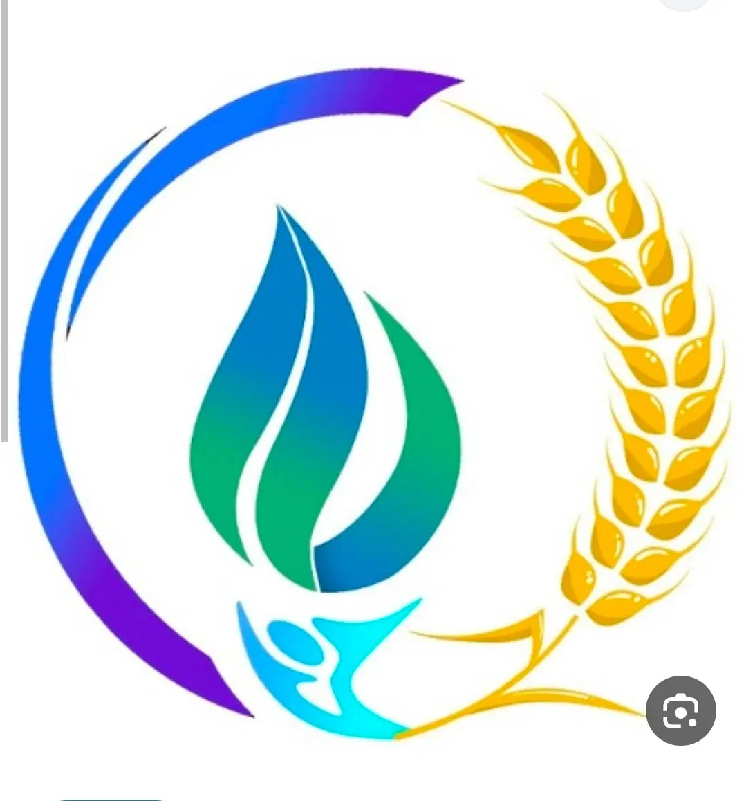 فروش زمین کشاورزی ۱۰۰۰متری هفده جوی قنوات