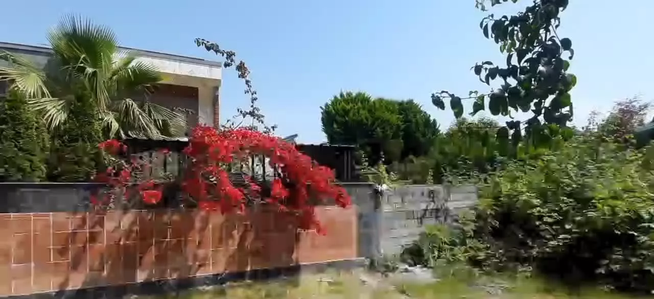 زمین ۲۴۰ متری