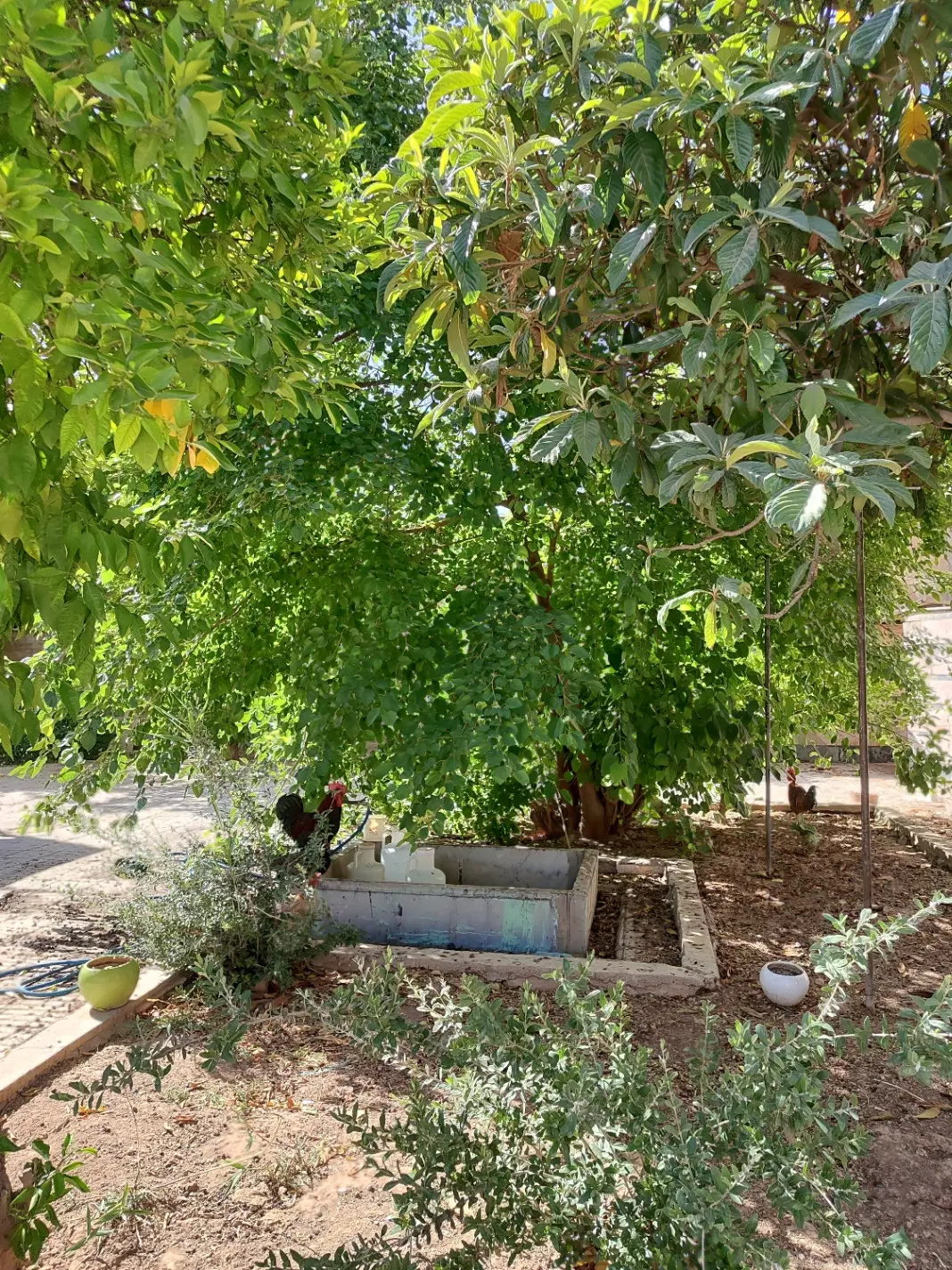 فروش خانه