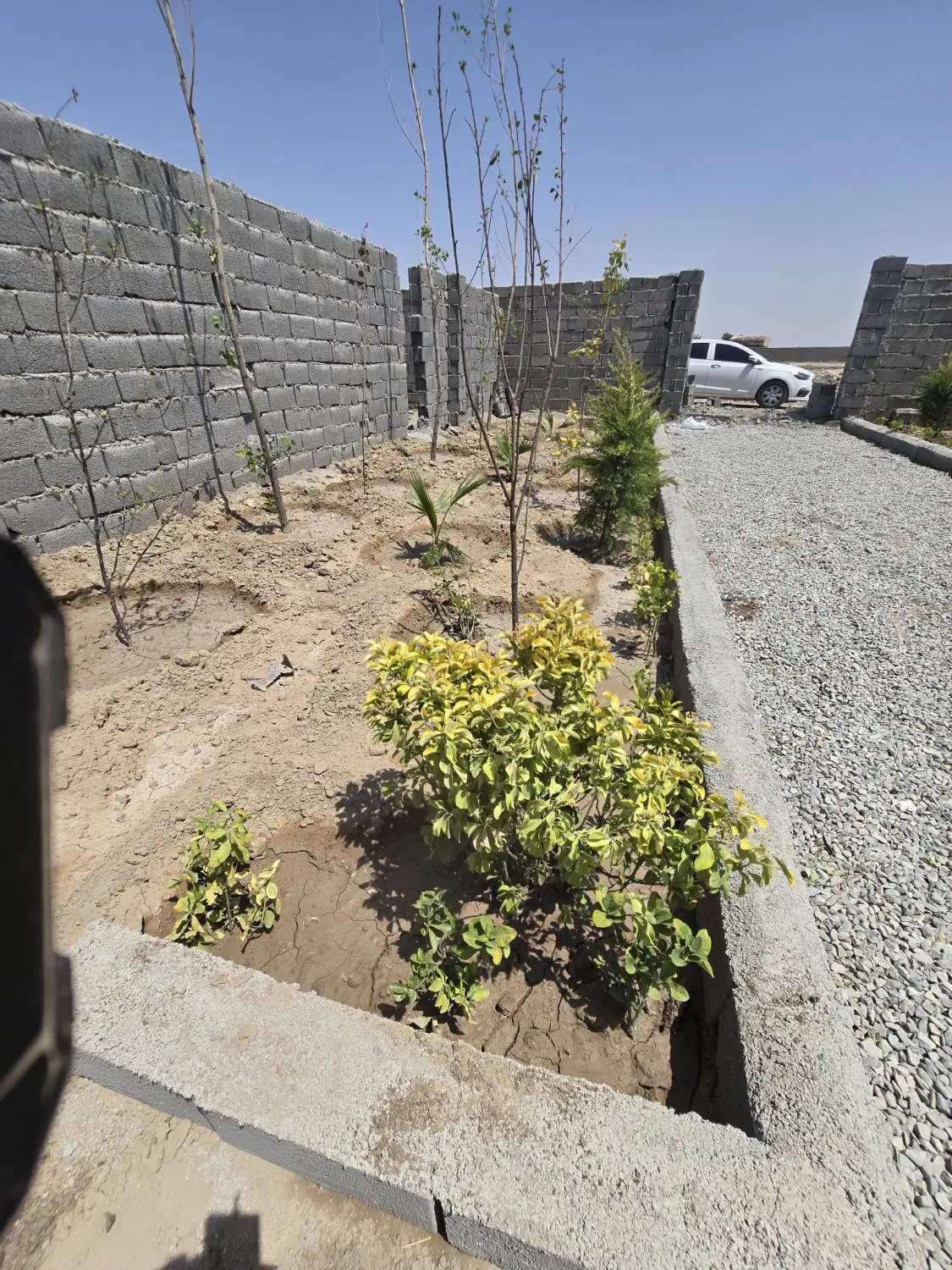 باغچه_باغ_چهاردیواری شده