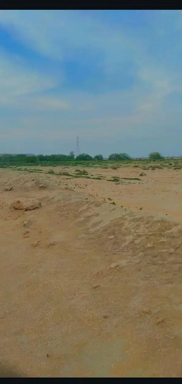 زمین 1000متری محدودی منصور اباد