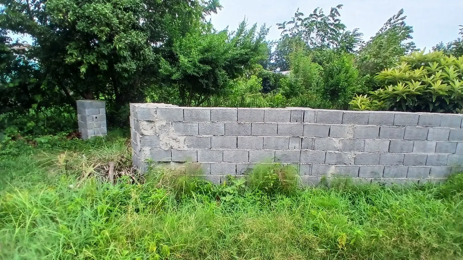 زمین۱۰۰۰متری پروانه سندکمربندی شهسوار قواره دوم