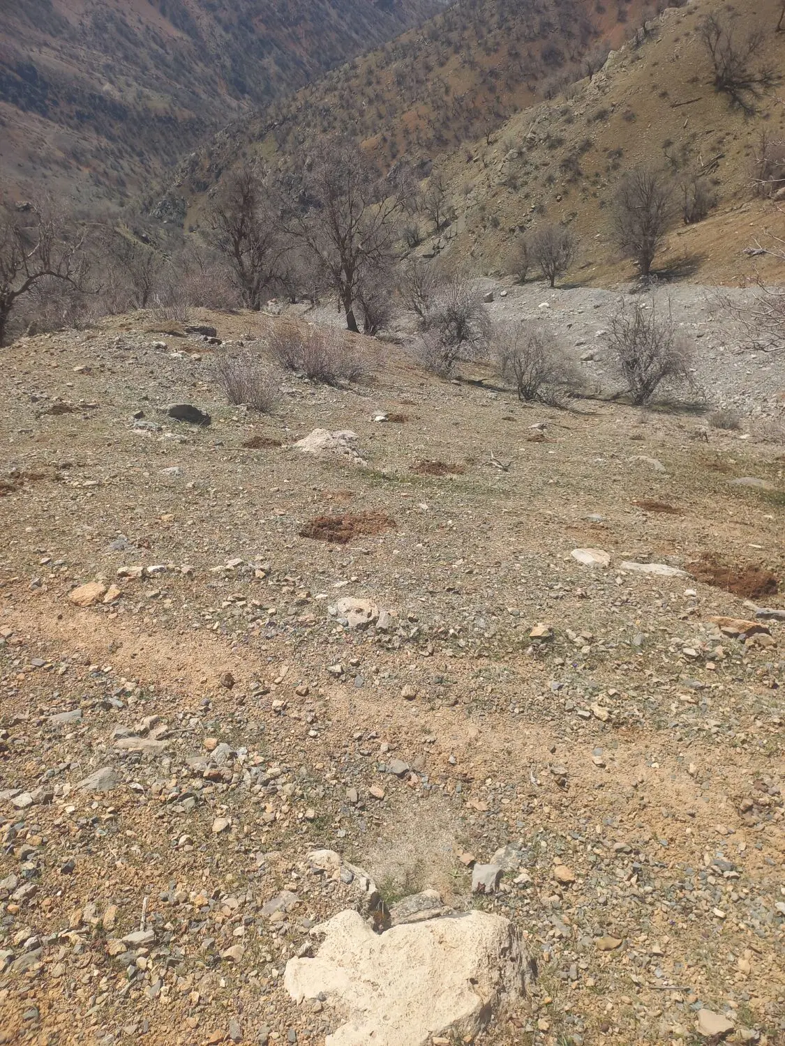 زمین قسمت سوم