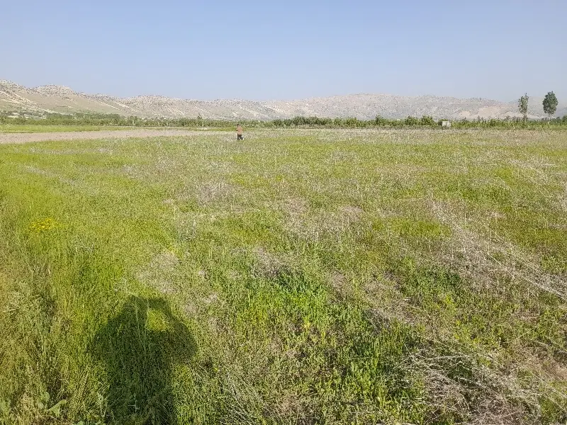 فروش زمین