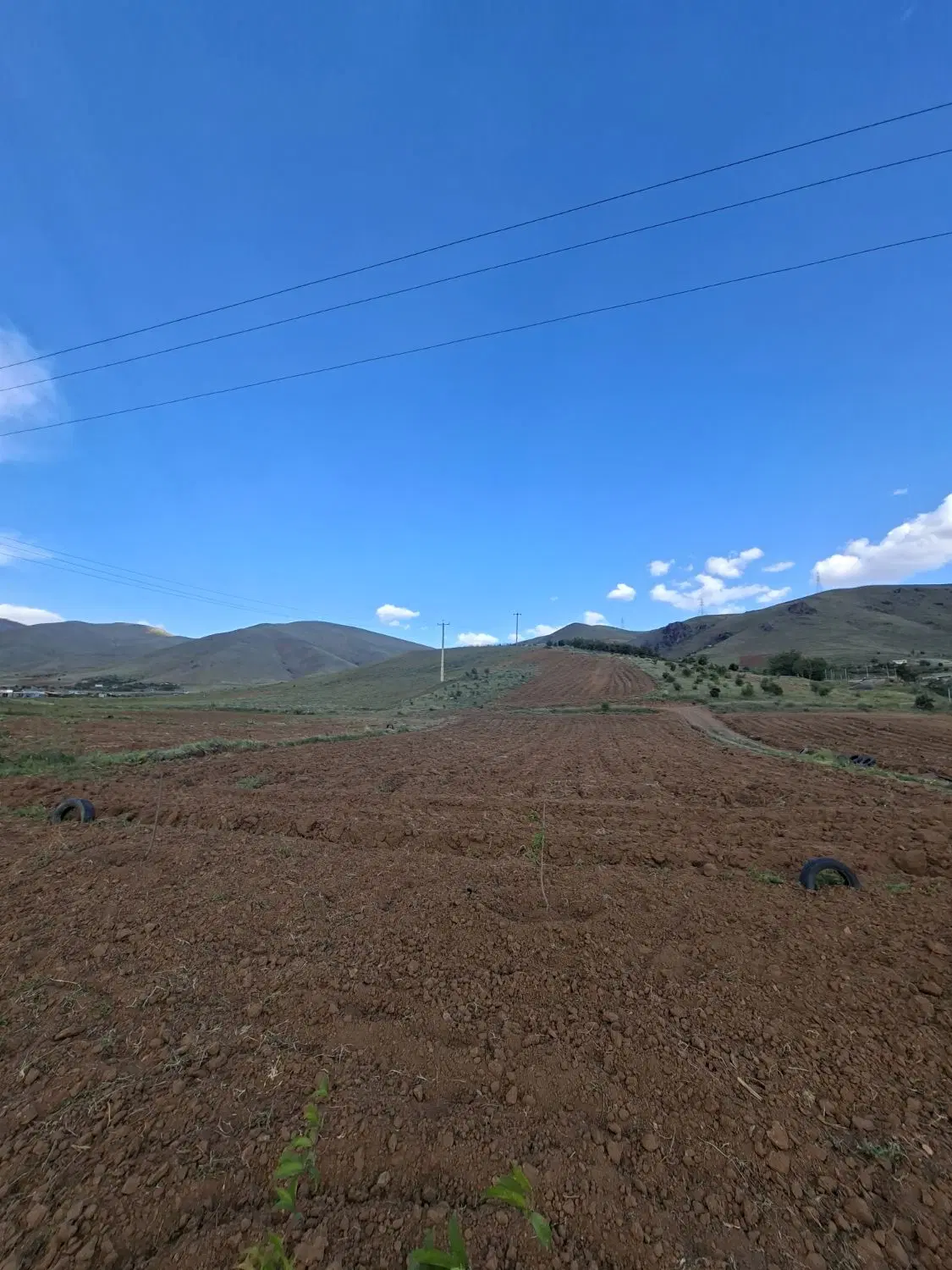 زمین کشاورزی