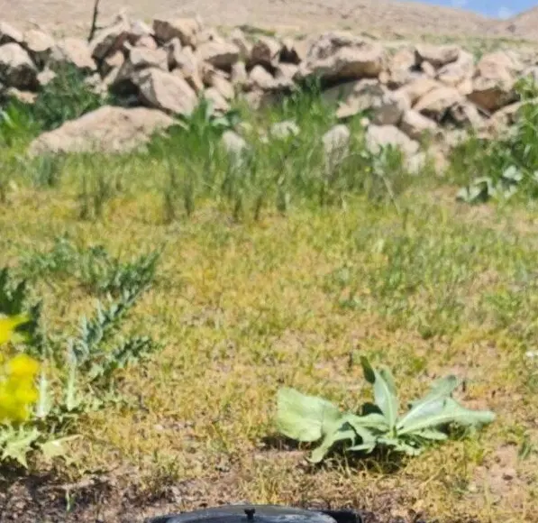 زمین آماده ساخت