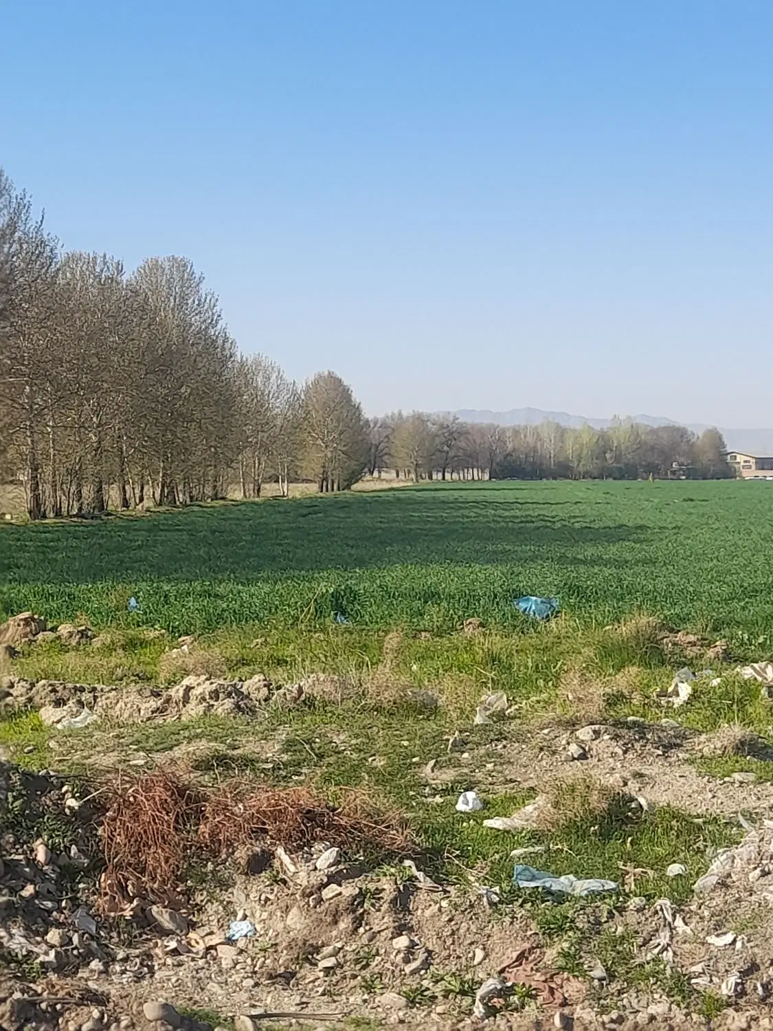 زمین کشاورزی دیم