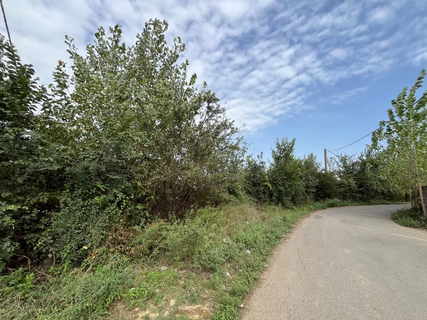 زمین باغات سند دار