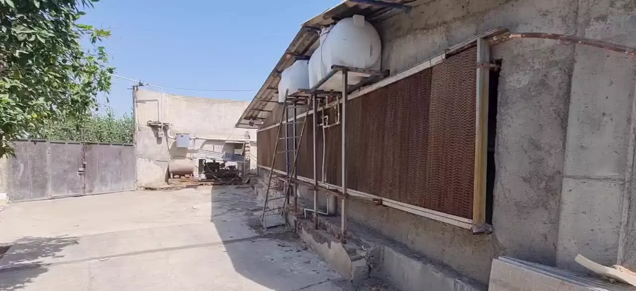 مرغداری ۱۵۰۰۰ هزارتایی اجاره ای