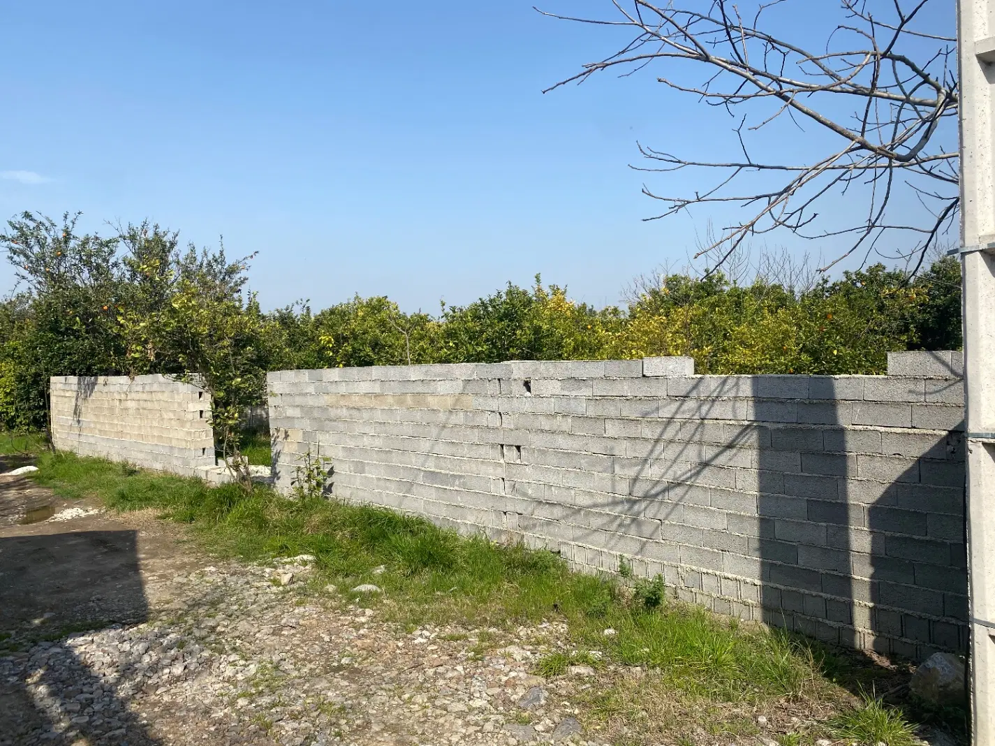 فروش زمین بافتی