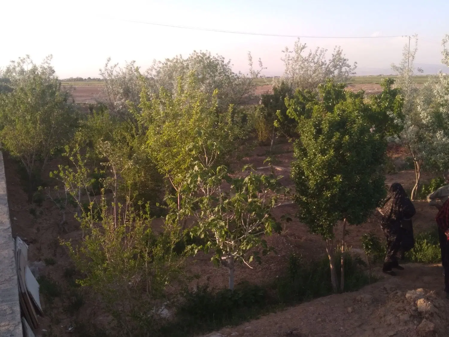 زمین مسکونی