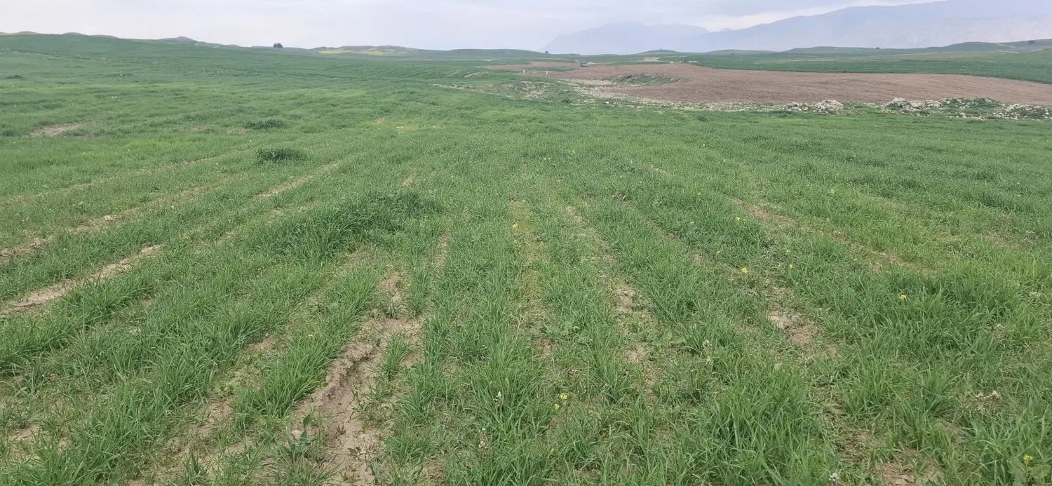 اجاره زمین کشاورزی