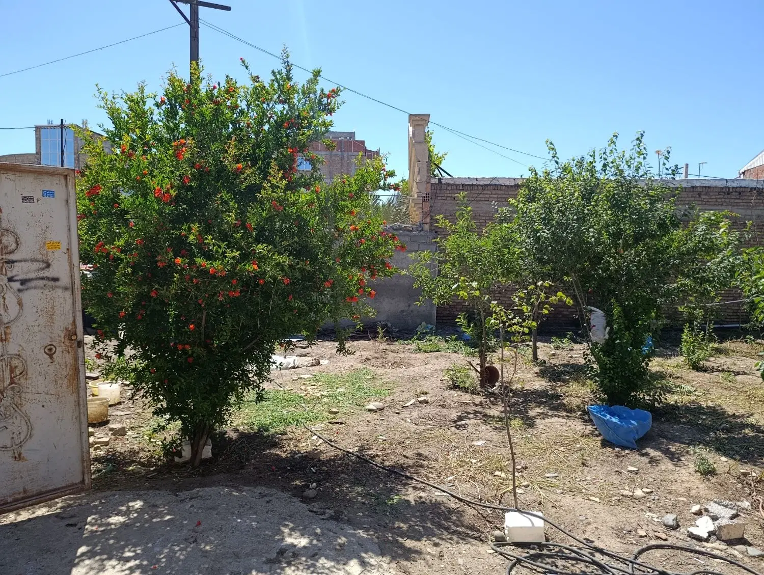 اجاره موقتی یک ماه