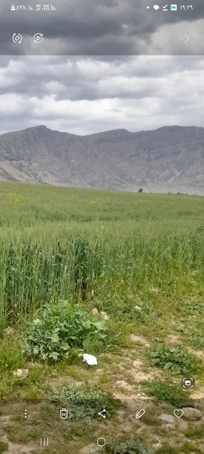 مزایده زمین