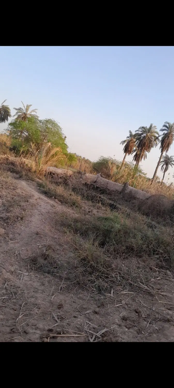 زمین