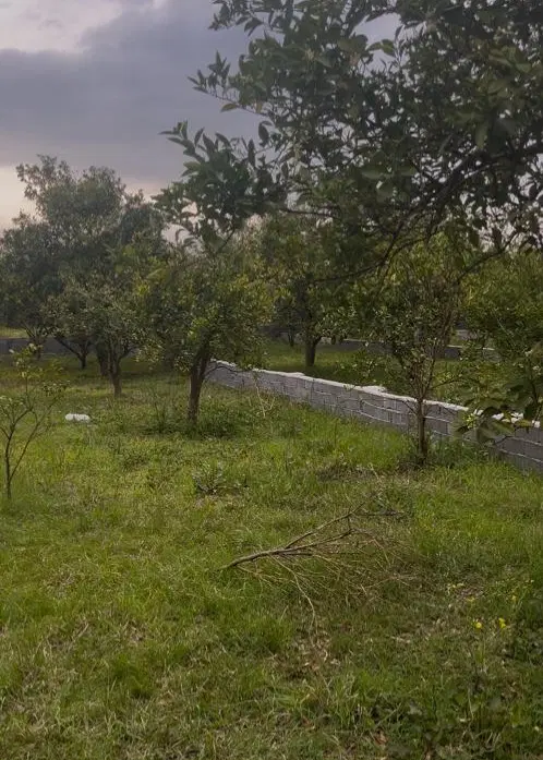 زمین چهار دیواری شده