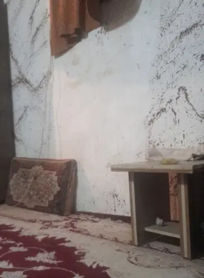 یک اتاق مستقل باحمام سرویس