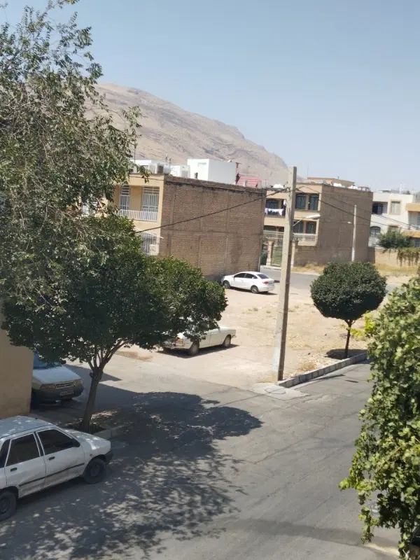 پیش فروش
