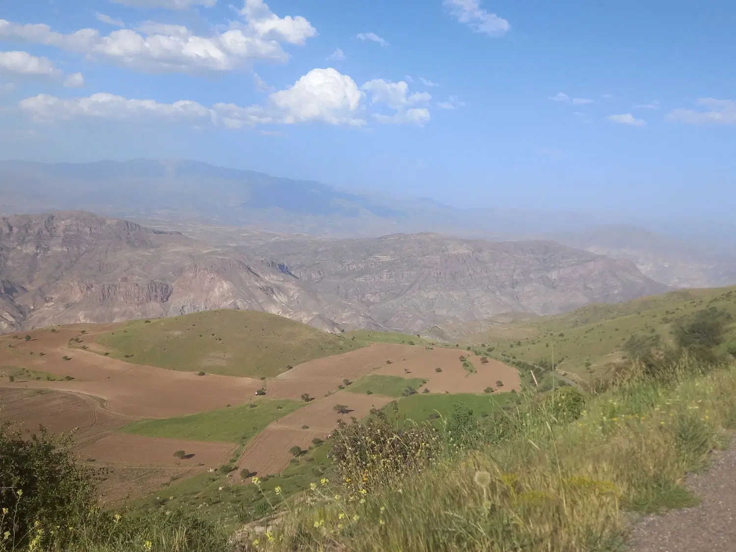 باغ بوغداکندی  لب جاده