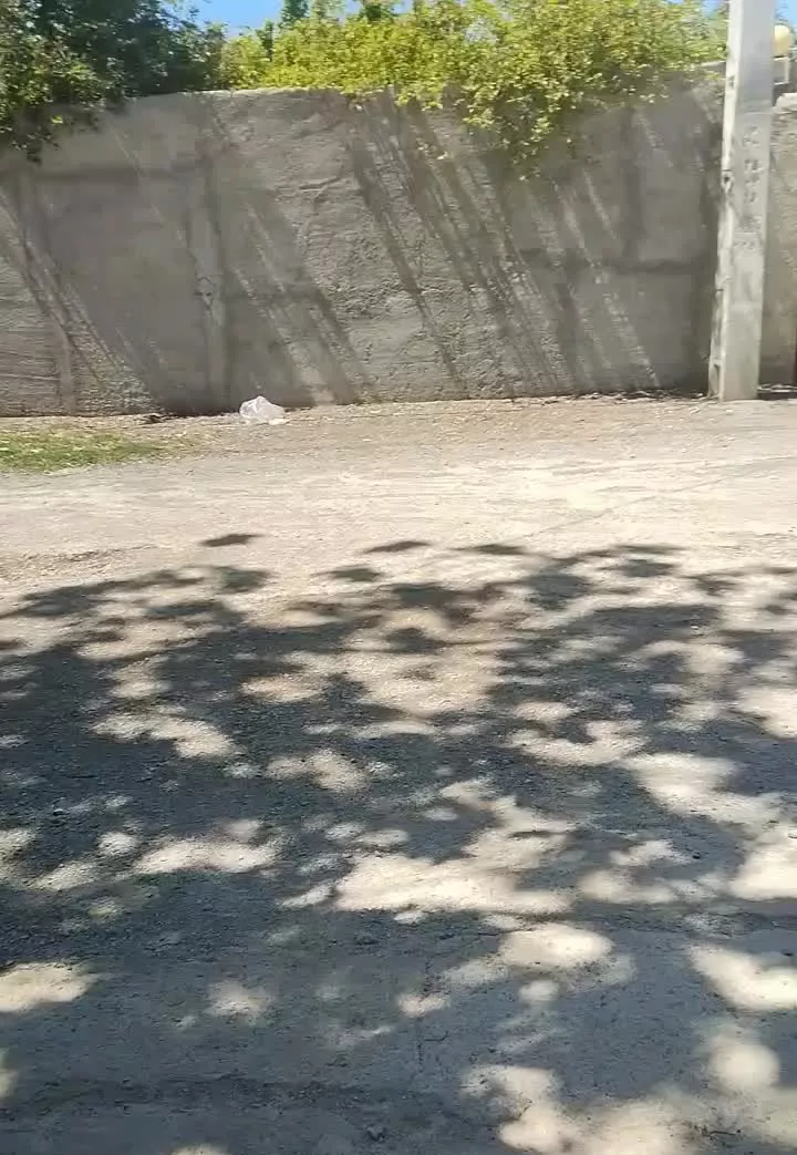 باغ