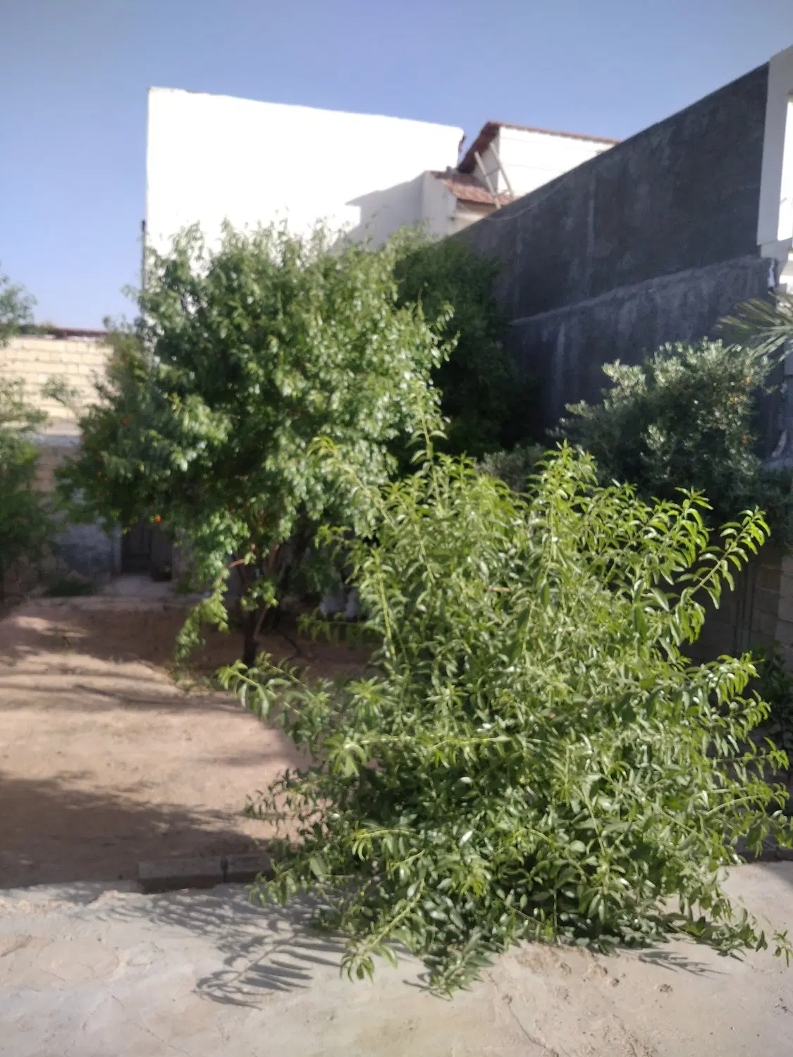اجاره خانه ویلایی