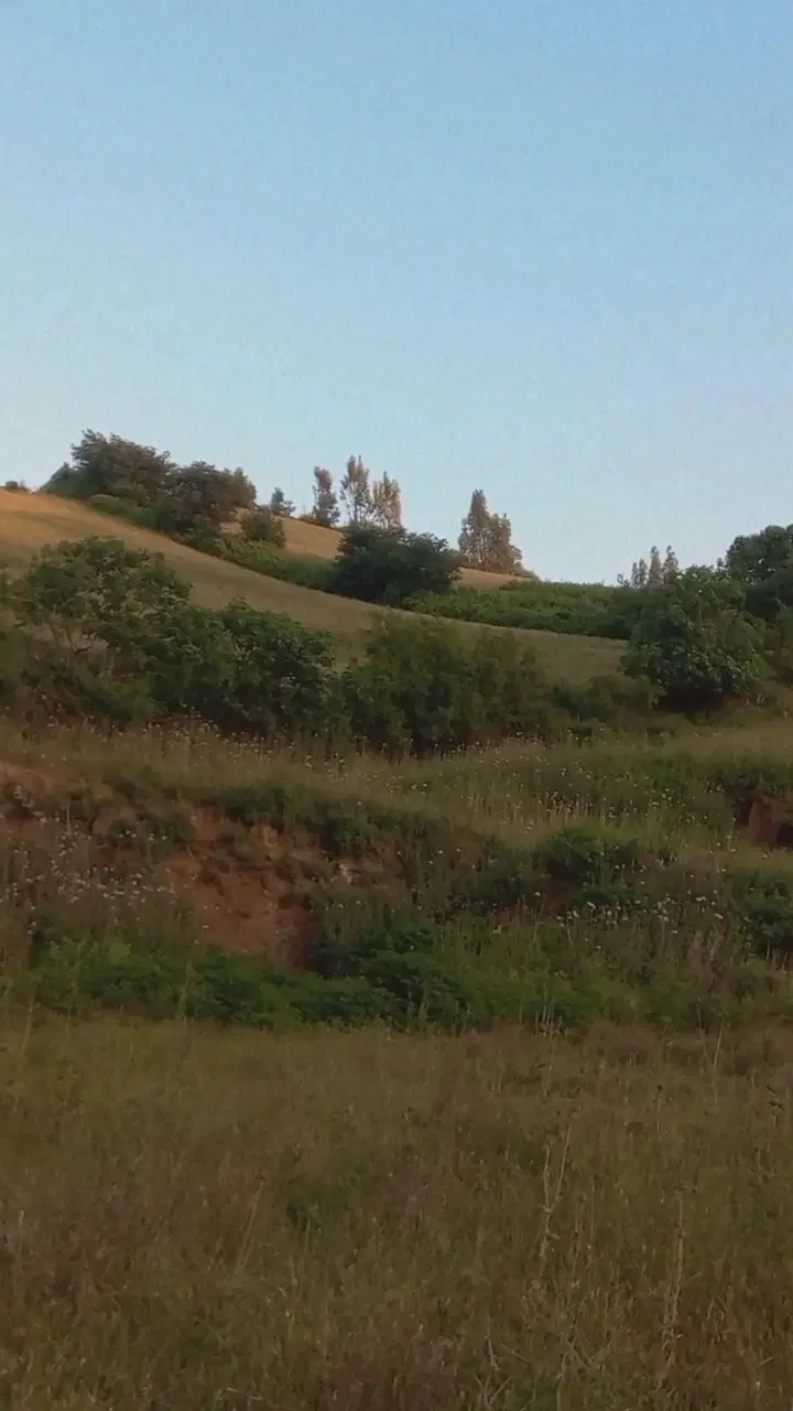 زمین گلند تاریکی