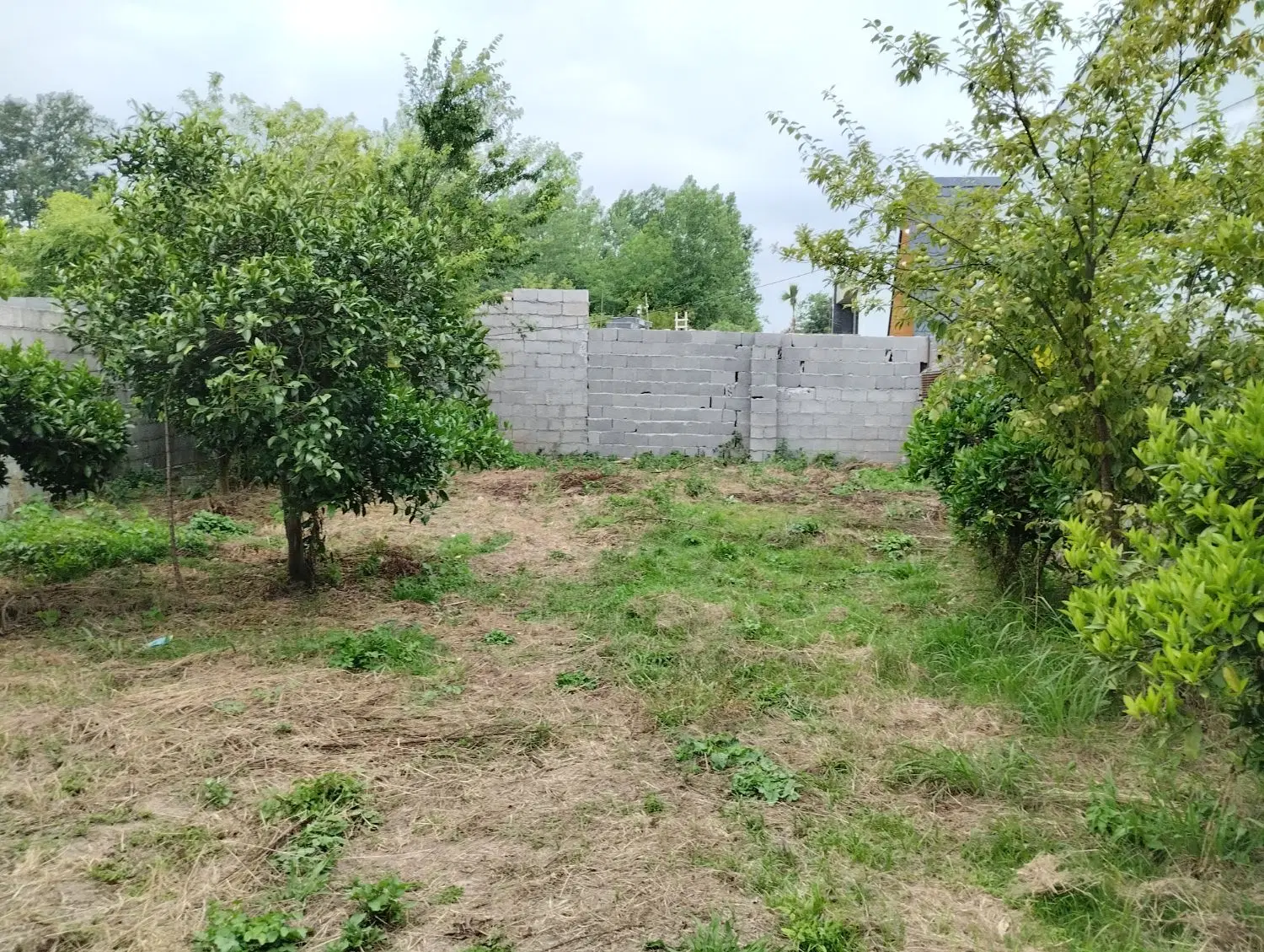 زمین 130 متری مسکونی شهر ساحلی خشکبیجار