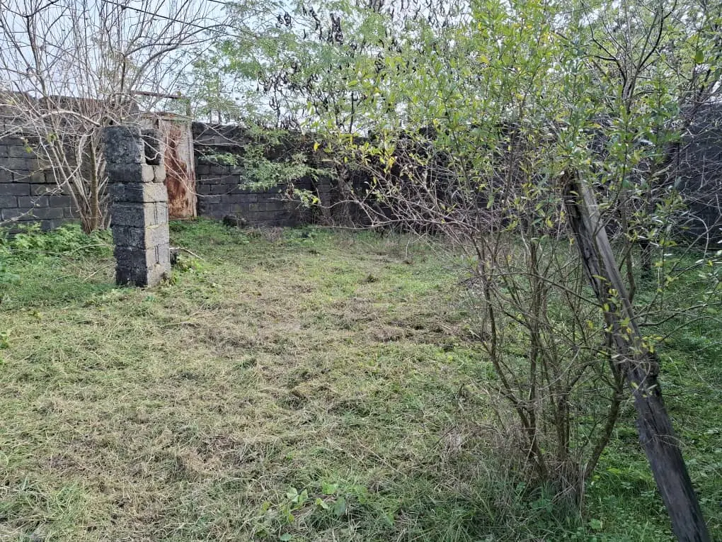 کلنگی بر یک اتوبان و دریا