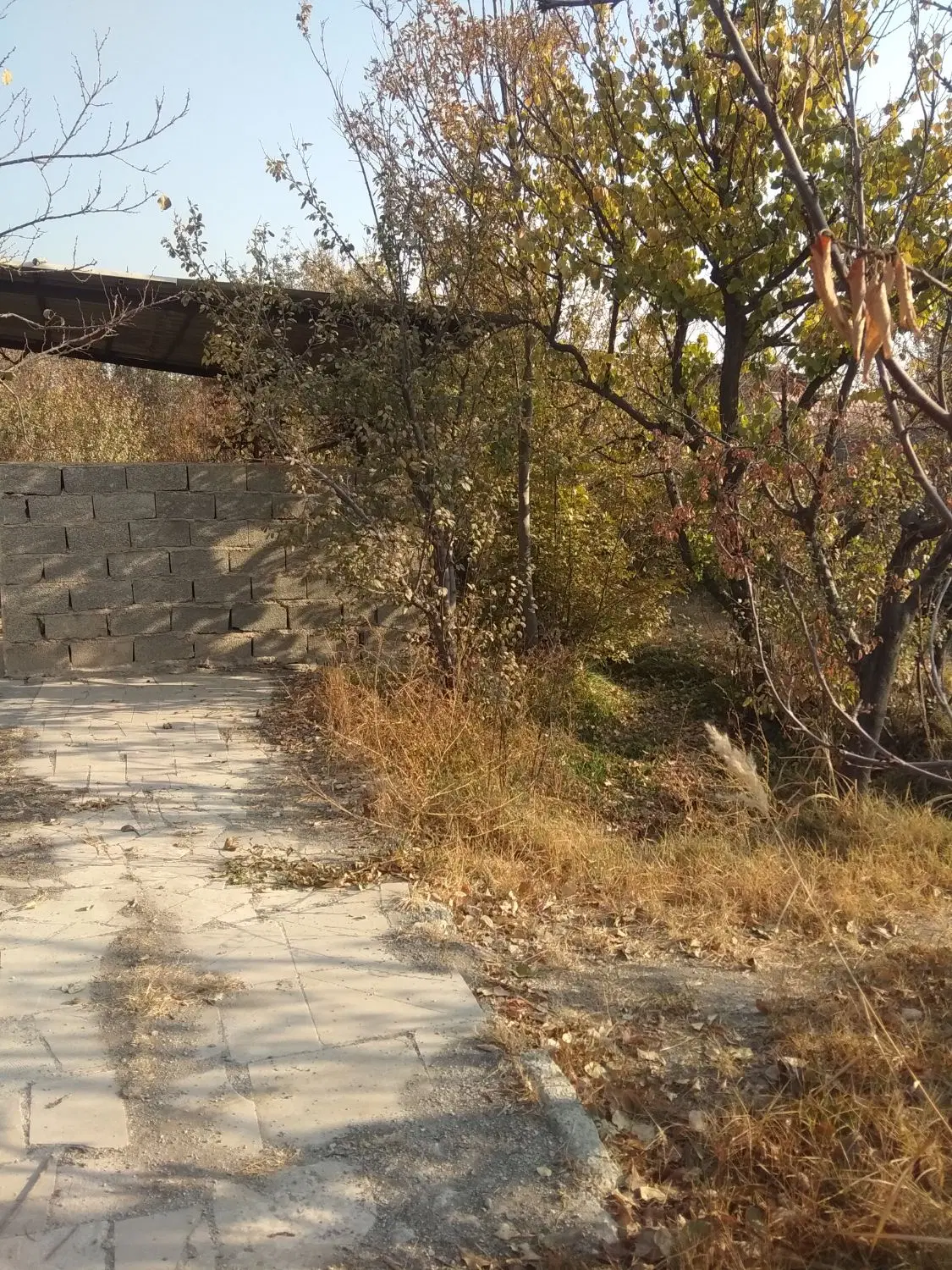 باغ میوه شهریار