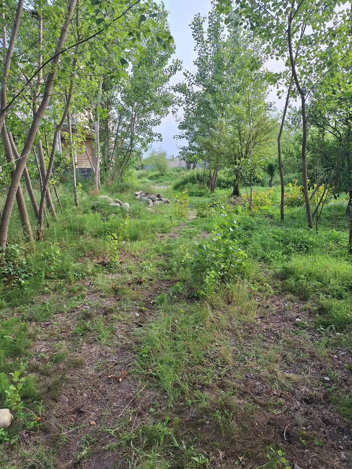 زمین برای فروش