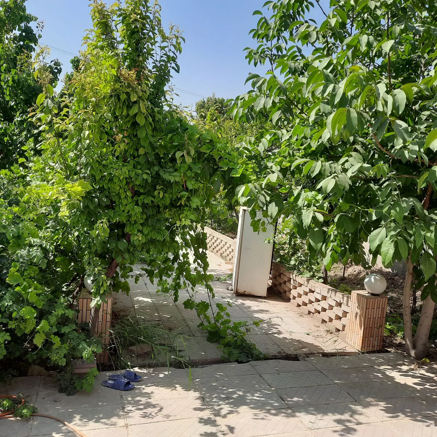 باغ ویلا خوش قیمت