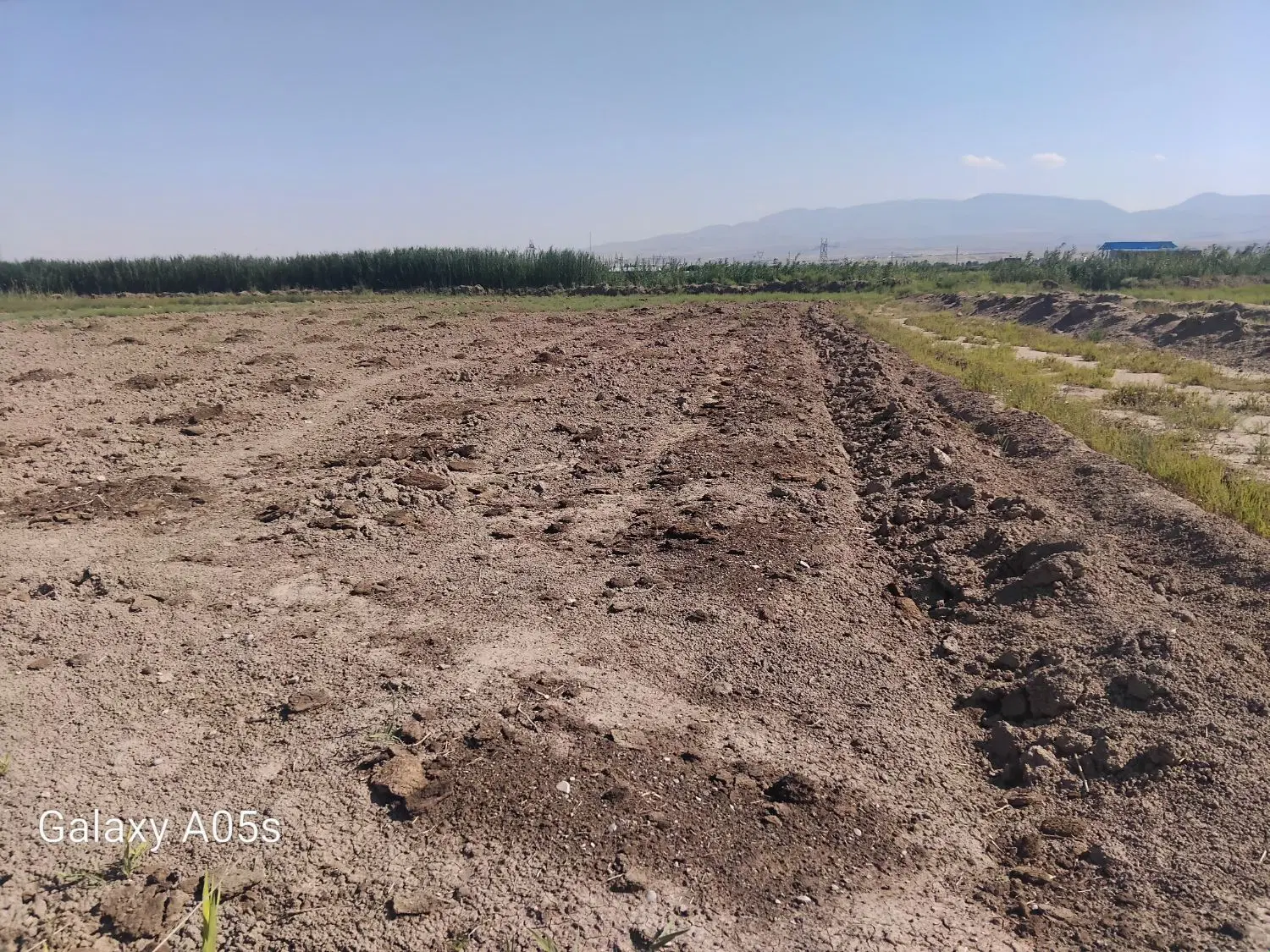 زمین کشاورزی به متراژ ۴۰۰۰ هزار متر مربع
