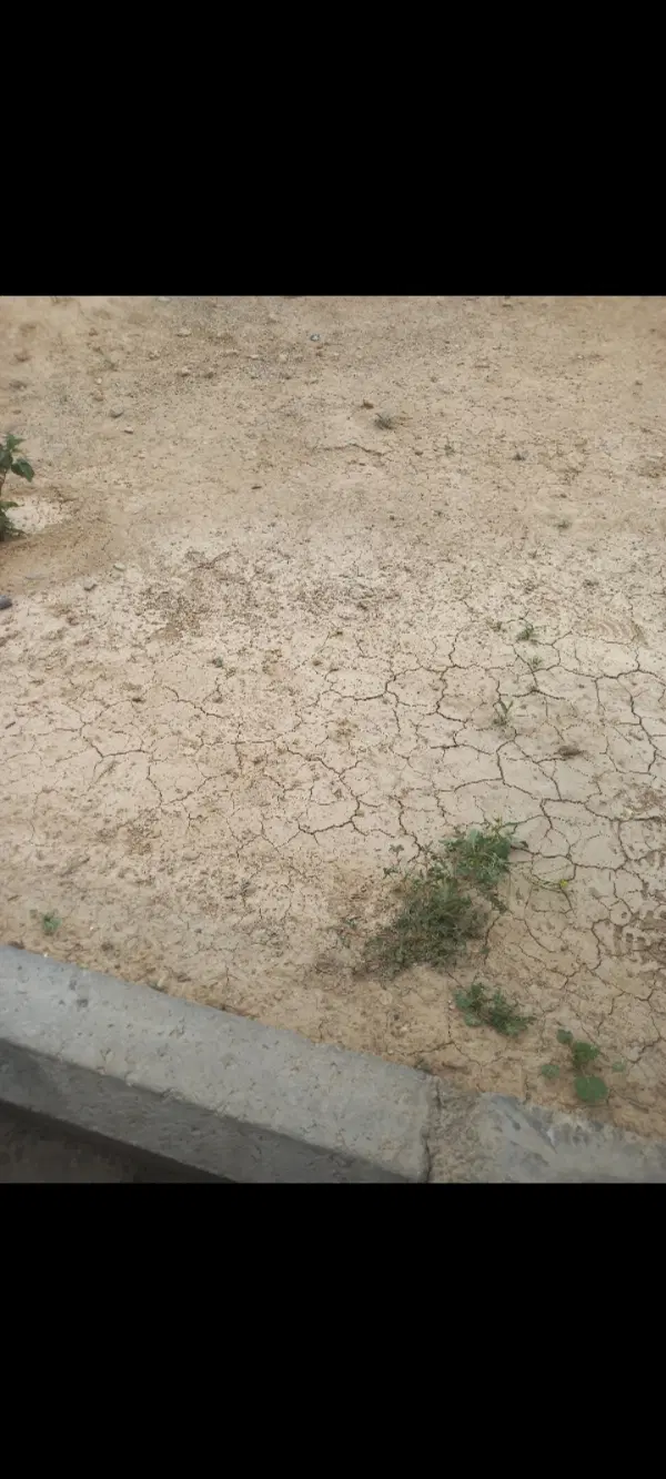 زمین مسکونی پاکدشت
