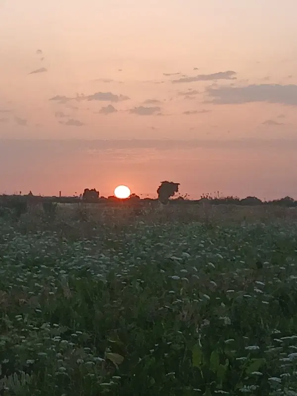 اجاره زمین کشاورزی شوش