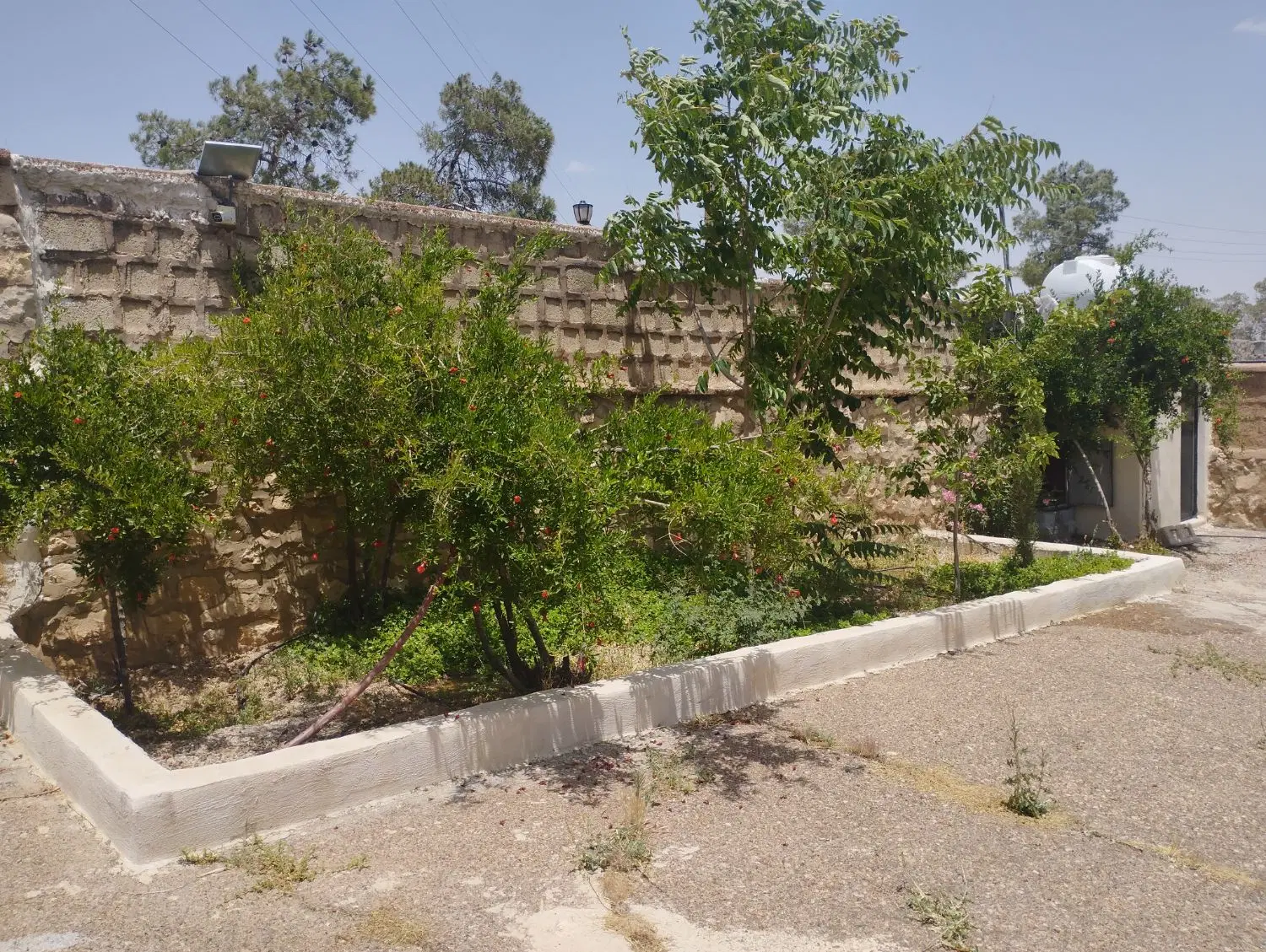 فروش باغ