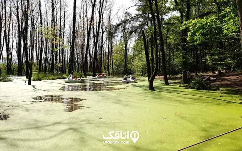 اجاره سالانه ویلای لوکس در گیسوم